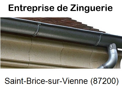 Artisan couvreur zingueur Saint-Brice-sur-Vienne-87200