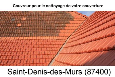 Entreprise de couverture à Saint-Denis-des-Murs-87400