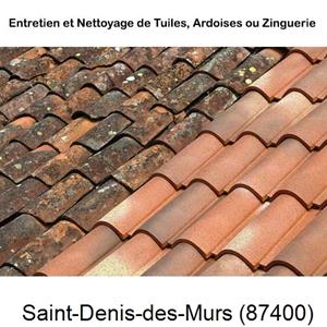 Nettoyage toiture à Saint-Denis-des-Murs-87400