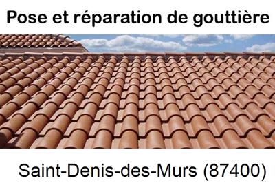 gouttière à Saint-Denis-des-Murs-87400