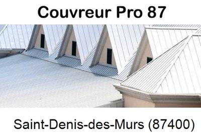 Entreprise de zinguerie à Saint-Denis-des-Murs-87400