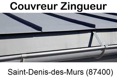 Photo toiture zinc Saint-Denis-des-Murs-87400