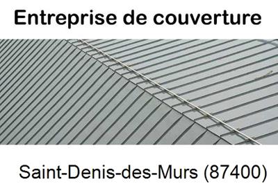 Couvreur pro 87 Saint-Denis-des-Murs-87400