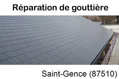 Travaux rénovation gouttière 