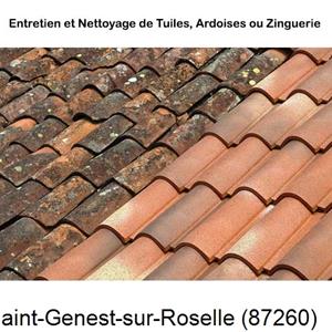 Nettoyage toiture à Saint-Genest-sur-Roselle-87260