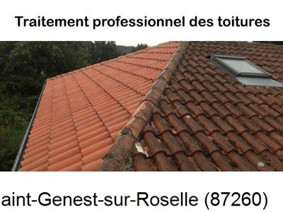 Couvreur pro 87 sur Saint-Genest-sur-Roselle-87260