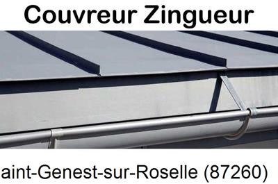 Photo toiture zinc Saint-Genest-sur-Roselle-87260