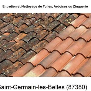 Nettoyage toiture à Saint-Germain-les-Belles-87380