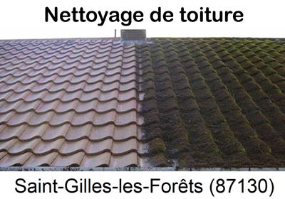 Entreprise de démoussage à Saint-Gilles-les-Forêts-87130