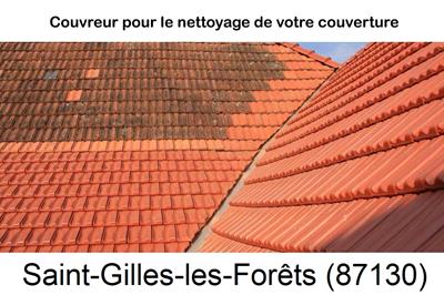 Entreprise de couverture à Saint-Gilles-les-Forêts-87130