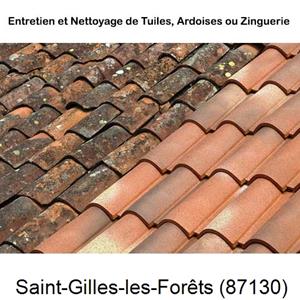 Nettoyage toiture à Saint-Gilles-les-Forêts-87130