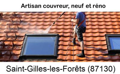 Artisan couvreur propose anti-mousse à Saint-Gilles-les-Forêts-87130