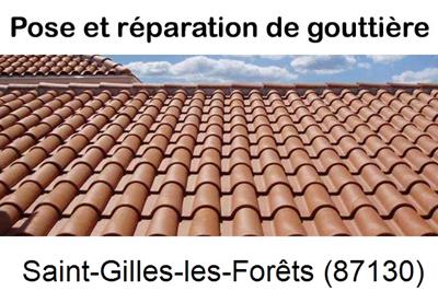 gouttière à Saint-Gilles-les-Forêts-87130