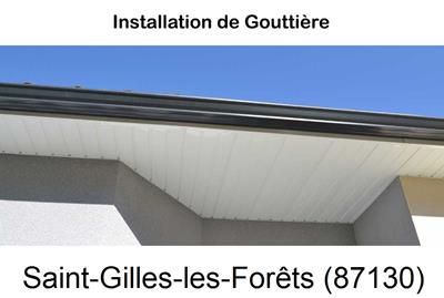 Entreprise de gouttière à Saint-Gilles-les-Forêts-87130