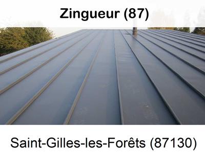 Votre zingueur en image à Saint-Gilles-les-Forêts-87130