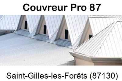 Entreprise de zinguerie à Saint-Gilles-les-Forêts-87130