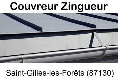 Photo toiture zinc Saint-Gilles-les-Forêts-87130