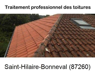 La référence en toiture à Saint-Hilaire-Bonneval-87260