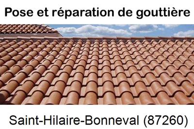 gouttière à Saint-Hilaire-Bonneval-87260