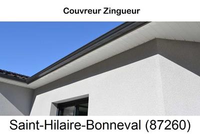 Toiture réparation, nettoyage gouttière Saint-Hilaire-Bonneval-87260