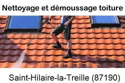 Artisan couvreur propose anti-mousse à Saint-Hilaire-la-Treille-87190