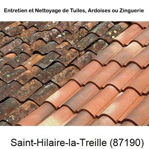 Nettoyage toiture à Saint-Hilaire-la-Treille-87190