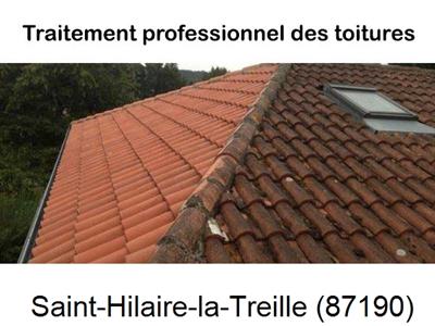 Couvreur pro 87 sur Saint-Hilaire-la-Treille-87190