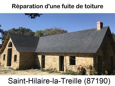 Réparation fuite à Saint-Hilaire-la-Treille-87190