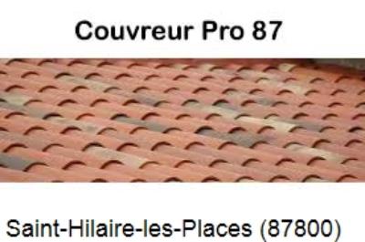 Entreprise de couverture à Saint-Hilaire-les-Places-87800