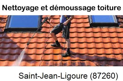 Artisan couvreur propose anti-mousse à Saint-Jean-Ligoure-87260