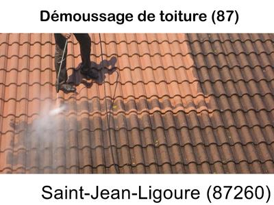 Toiture démoussage Saint-Jean-Ligoure-87260