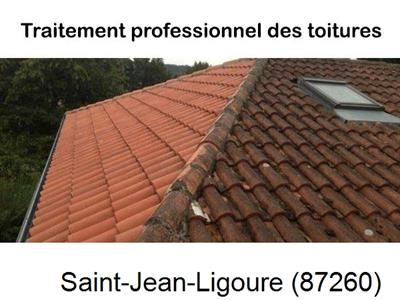 Couvreur pro 87 sur Saint-Jean-Ligoure-87260