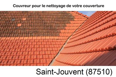 Entreprise de couverture à Saint-Jouvent-87510