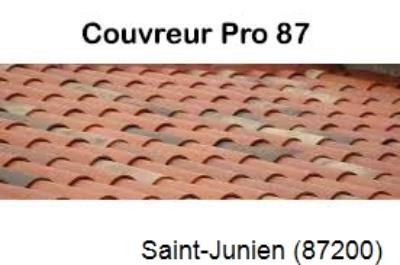 Votre couvreur dans le 87 pour la réparation de votre couverture àréférence en recherche de fuite toiture à Saint-Junien-