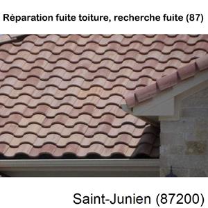 Réparation fuite à Saint-Junien-87200fuite de toiture à Saint-Junien-