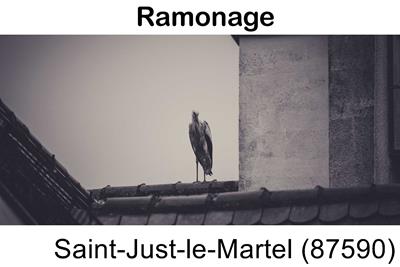 Artisan ramoneur Saint-Just-le-Martel-87590