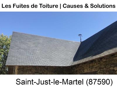 Entreprise de couverture à Saint-Just-le-Martel-87590