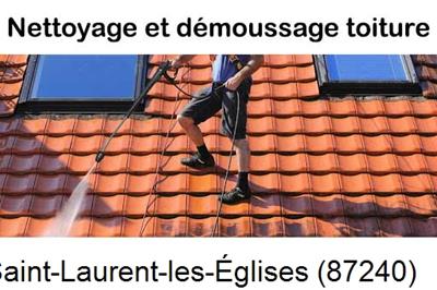 Artisan couvreur propose anti-mousse à Saint-Laurent-les-Églises-87240