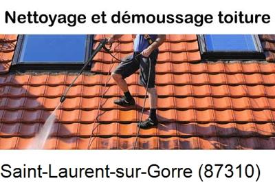 Artisan couvreur propose anti-mousse à Saint-Laurent-sur-Gorre-87310