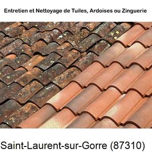 Nettoyage toiture à Saint-Laurent-sur-Gorre-87310