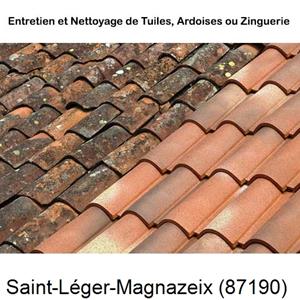 Nettoyage toiture à Saint-Léger-Magnazeix-87190