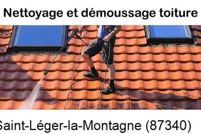 Artisan couvreur propose anti-mousse à Saint-Léger-la-Montagne-87340