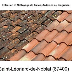 Nettoyage toiture à Saint-Léonard-de-Noblat-87400