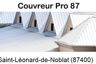 Entreprise de zinguerie à Saint-Léonard-de-Noblat-87400