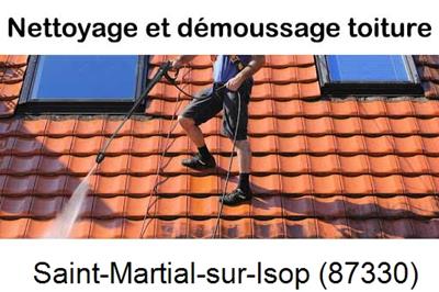 Artisan couvreur propose anti-mousse à Saint-Martial-sur-Isop-87330