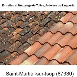 Nettoyage toiture à Saint-Martial-sur-Isop-87330