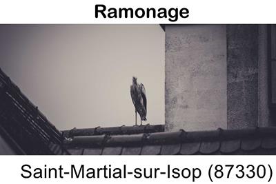 Artisan ramoneur Saint-Martial-sur-Isop-87330