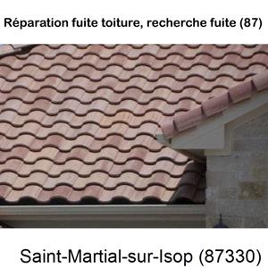 Toiture réparation à Saint-Martial-sur-Isop-87330