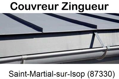 Photo toiture zinc Saint-Martial-sur-Isop-87330