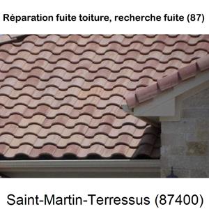 Réparation fuite à Saint-Martin-Terressus-87400couvreur dans le 87 pour la réparation de votre couverture à Saint-Martin-Terressus-